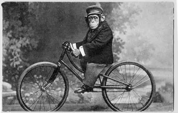 monkey_on_bicycle_vintage